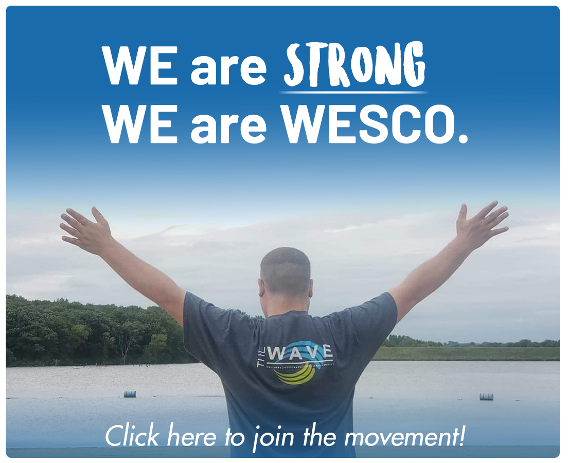 we are wesco
